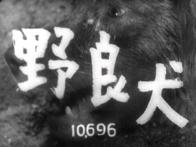 Still from Stray Dog titles showing censor's number   